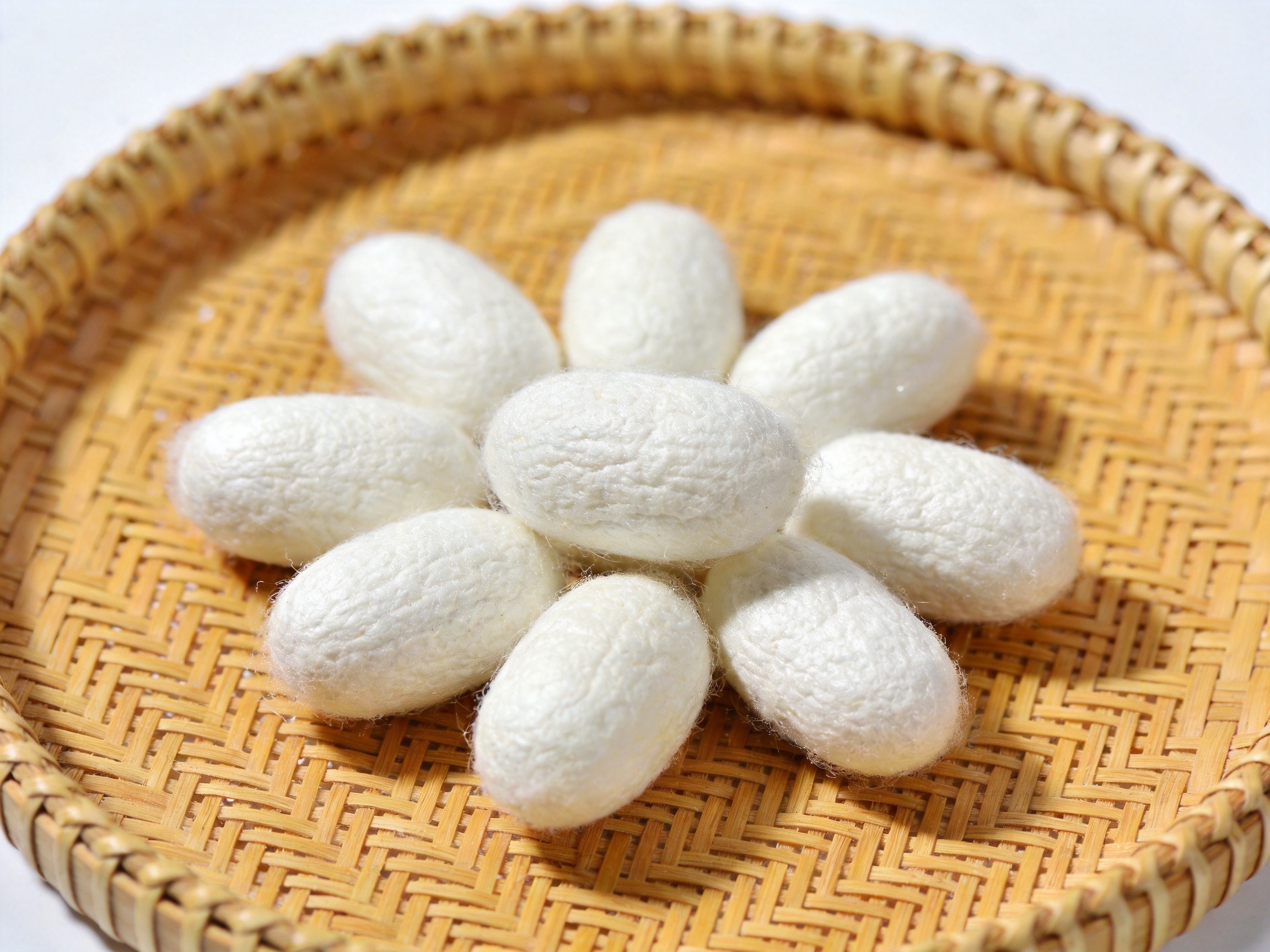 3,000 Years of Silk from Nanchong