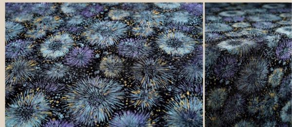 Celestial Loom