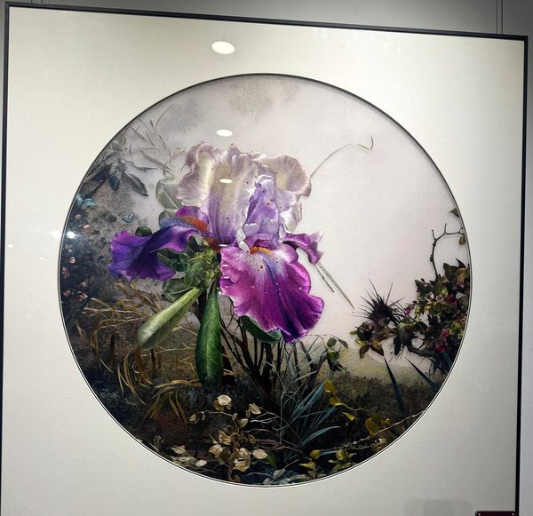 Iris